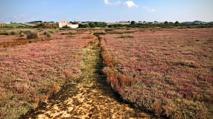 La natura in Salento